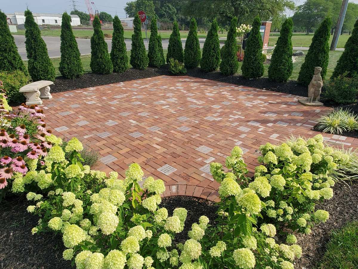 Installed brick patio surrounded by hydrangeas and arborvitae